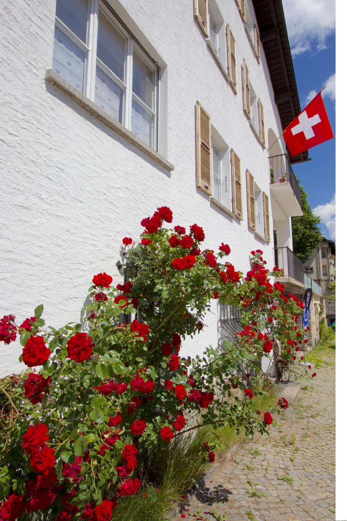 Chalet Cuore Delle Alpi 아이롤로 외부 사진