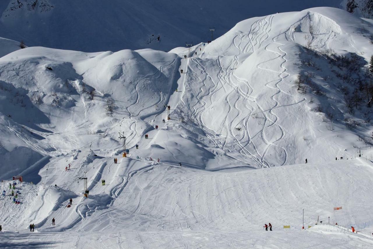 Chalet Cuore Delle Alpi 아이롤로 외부 사진
